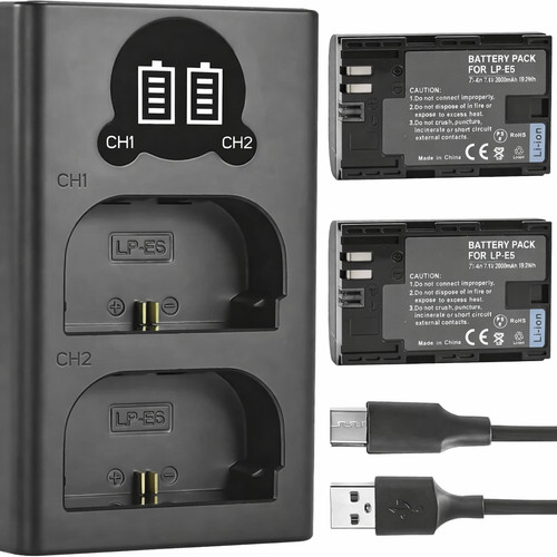Batteria caricabatterie - 2x,